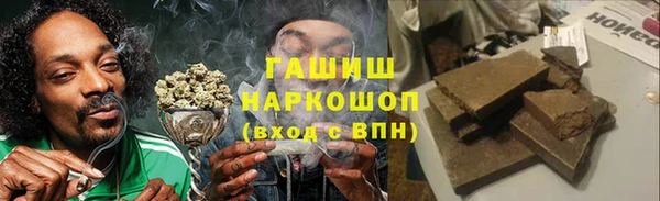 МДПВ Бородино