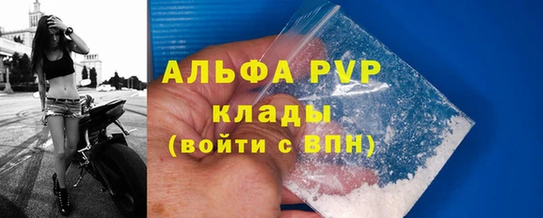 МДПВ Бородино