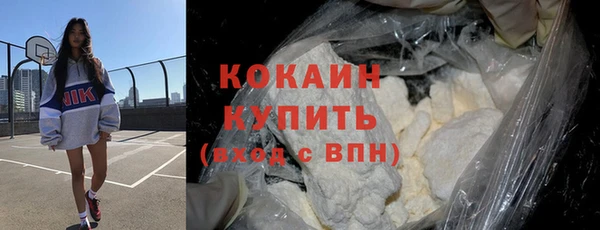 МДПВ Бородино