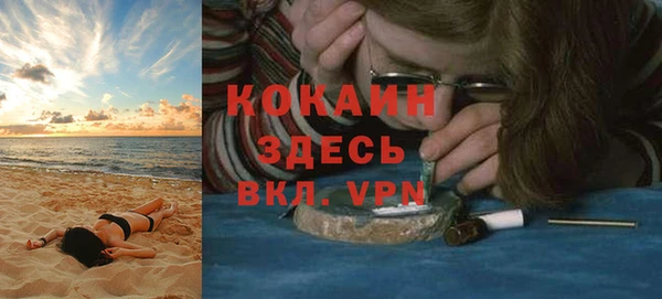 дживик Бронницы