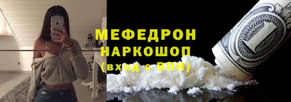 МДПВ Бородино