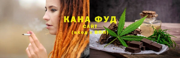 индика Бугульма