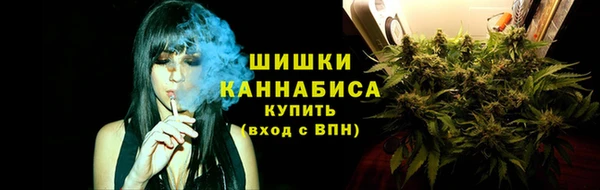 индика Бугульма