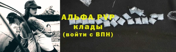 индика Бугульма