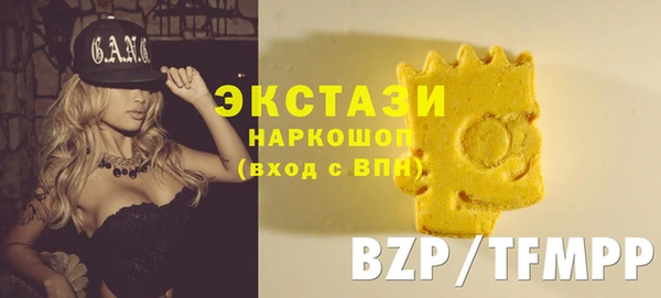 МДПВ Бородино