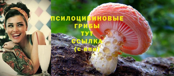 индика Бугульма
