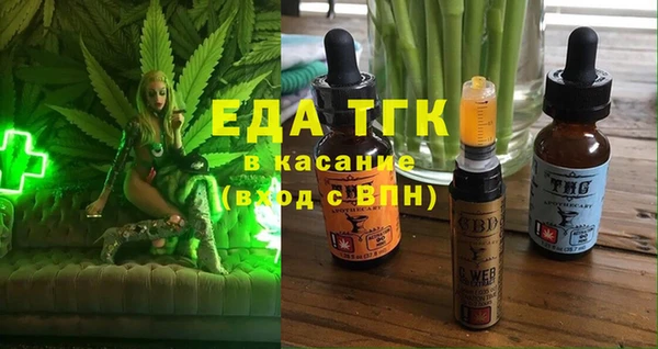 индика Бугульма
