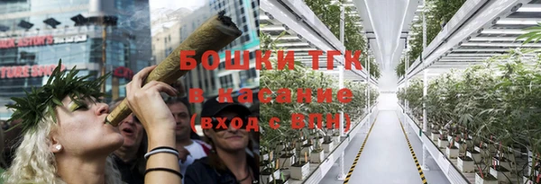 дживик Бронницы