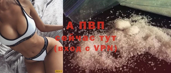 индика Бугульма