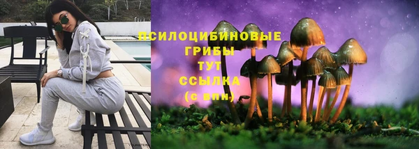 индика Бугульма