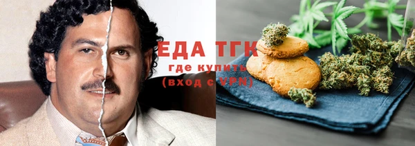 индика Бугульма