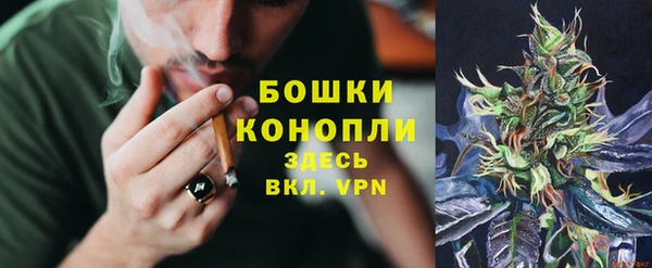 индика Бугульма