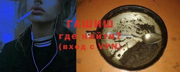 МДПВ Бородино