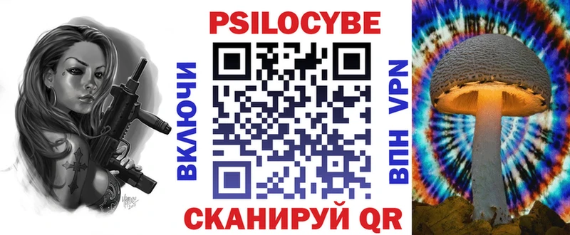 закладки  Шахты  Псилоцибиновые грибы мухоморы 